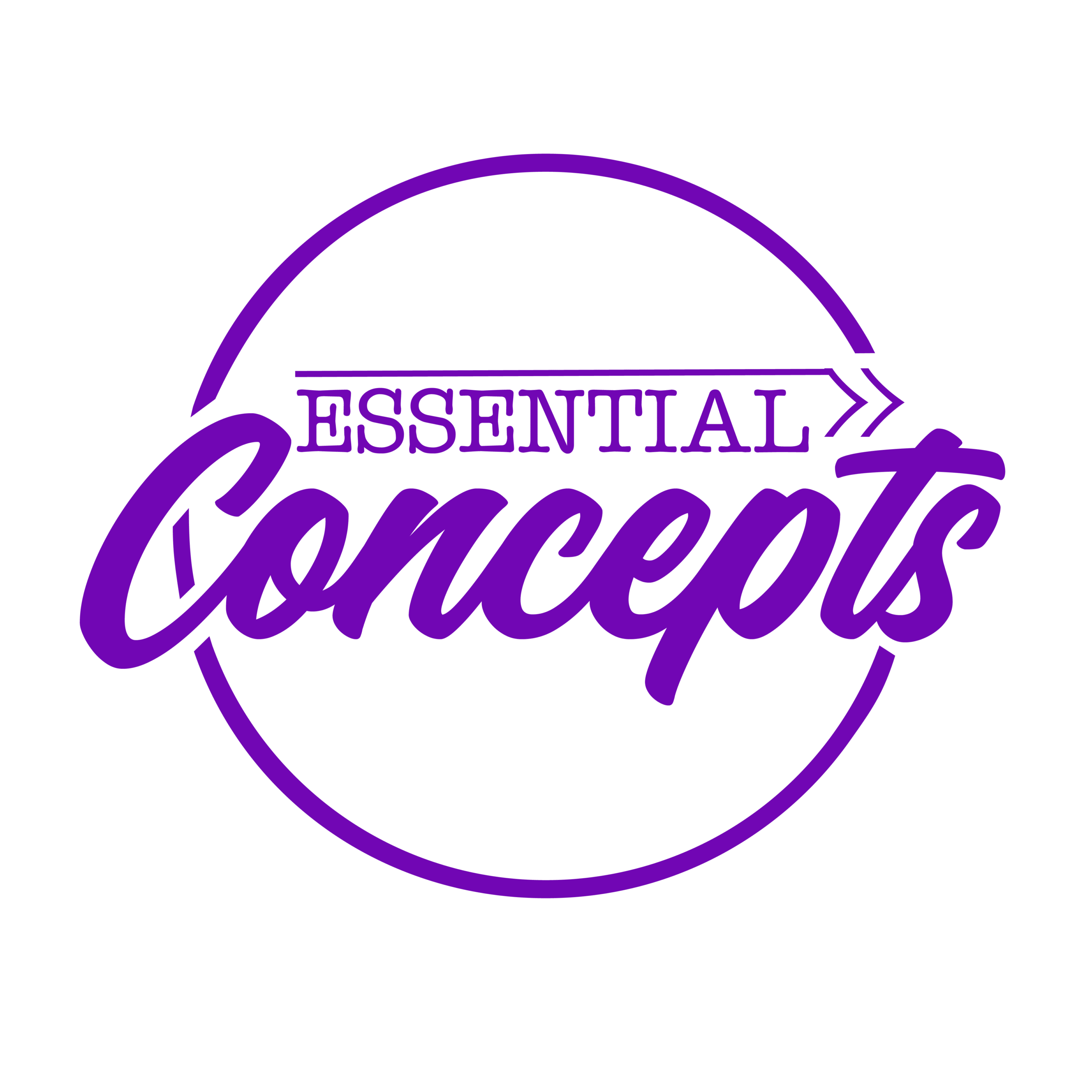 essentiallyconcepts
